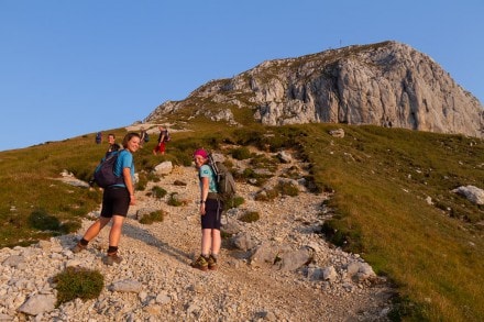 Ammergauer Berge: Gamswiese (Reutte)