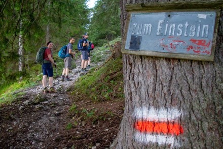 Oberallgäu:  (Grän)