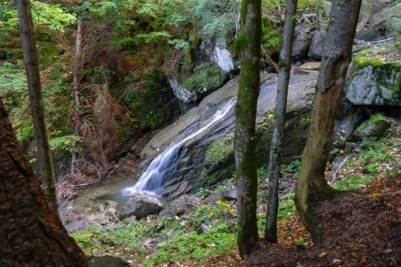 Oberallgu:  (Pfronten)