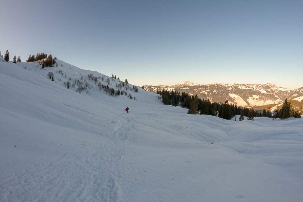 Burstkopf<br />(Balderschwang - Oberallgäu / 2018)