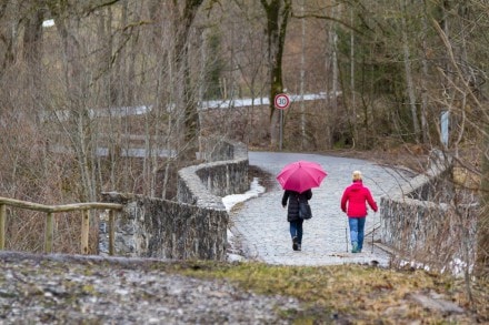 Ostallgäu:  (Nesselwang)