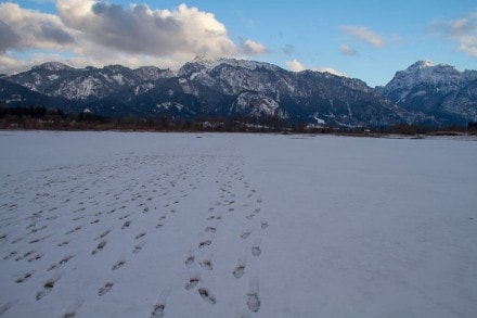 Ostallgäu: Forggensee (Schwangau)