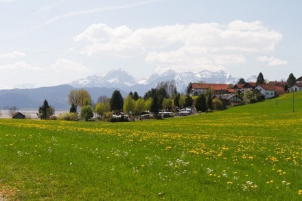 Entdeckungstour von Osterreinen über den ausgelassenen Forggensee nach Waltenhofen