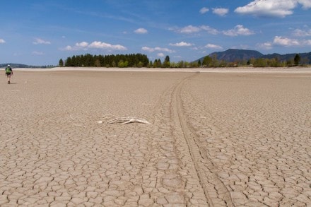 Ostallgäu: Forggensee (Osterreinen)