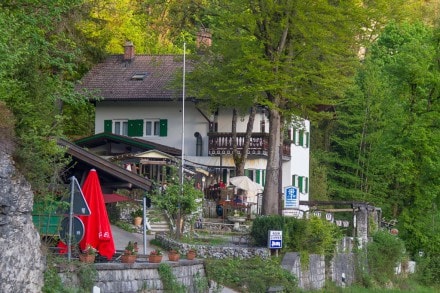 Oberallgäu: Steakhaus Füssen (Füssen)