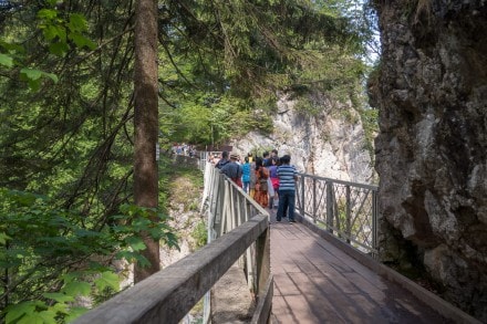 Ostallgäu: Marienbrücke (Füssen)