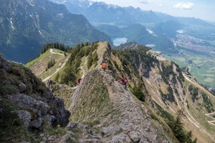 Ostallgäu: Vom Schloss Neuschwanstein auf den Tegelberg, Branderschrofen, Latschenschrofen, Spitzigschröfle und Schönleitschrofen (Füssen)