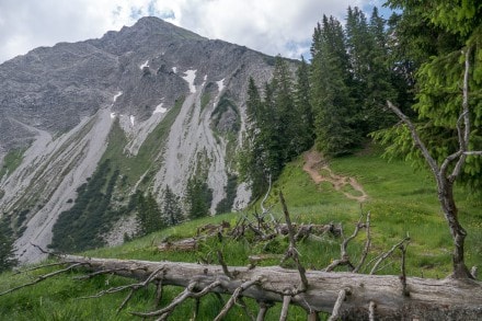 Oberallgäu:  (Oberstdorf)