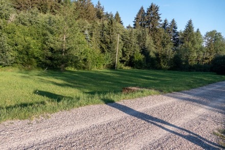 Oberallgäu: Ehemaliger Bahnhof von Kürnach (Buchenberg)