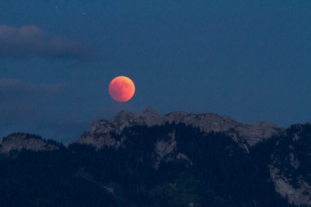 Ostallgäu: Blutmond / Mondfinsternis am Forggensee (Füssen)