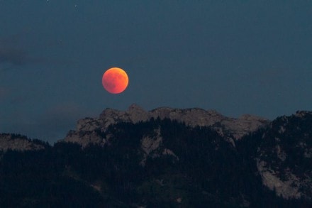 Ostallgäu:  (Füssen)