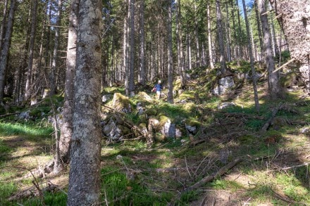 Ostallgäu: Erzberge am Hahlekopf (Pflach)