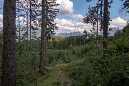 Ostallgäu: Raintal (Pflach)