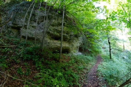 Oberallgäu: Dillingerweg (Obergünzburg)