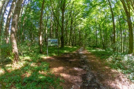 Oberallgäu: Schlosspfad Liebenthann (Obergünzburg)