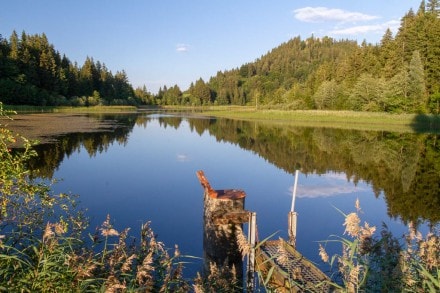 Oberallgäu: Schweinegger Schlossweiher (Zell)