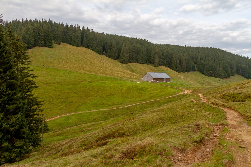 Der Gschwender- und Immenstädter Horn vom Alpsee aus (Immenstadt - Oberallgäu / 2018)