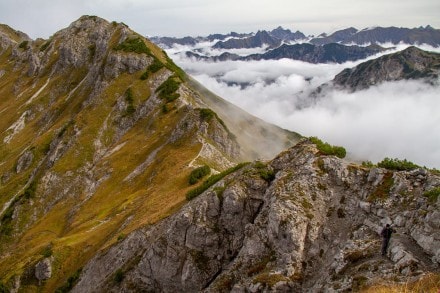 Kleinwalser Tal: Gratweg Kanzelwand zur Walser Hammerspitze (Oberstdorf)