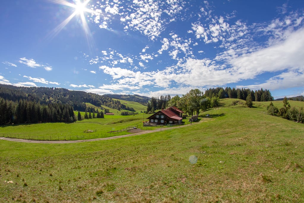 Salmaser und Thaler Höhe (Missen - Oberallgäu / 2018) Salmaser und Thaler Höhe (Missen - Oberallgäu / 2018)