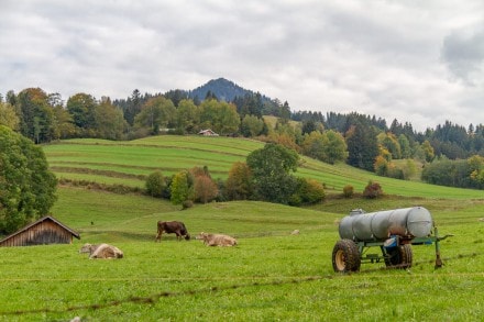 Oberallgäu: Tour (Sonthofen)