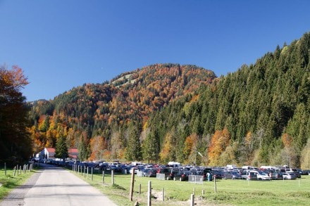 Durch das Entenschwertal auf das Rindalphorn und Hochgrat