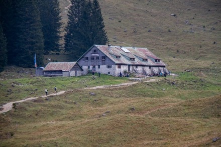 Oberallgäu: Willers Alpe (Hinterstein)