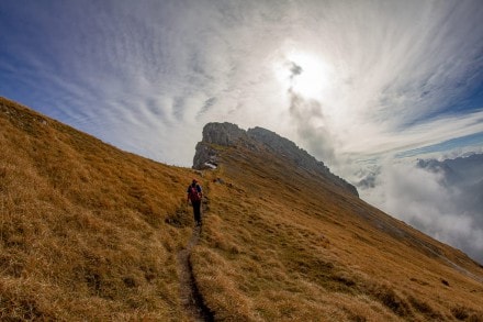 Oberallgäu: Von der Willersalpe über das Gais- und Rauhhorn zum Schrecksee (Hinterstein)