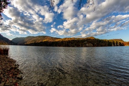 Tirol: Alpsee (Füssen)