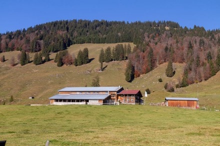 Siplingerkopf über die Obere Wilhelmine Alpe