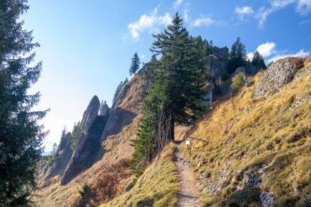 Oberallgäu: Siplingerkopf über die Obere Wilhelmine Alpe (Balderschwang)