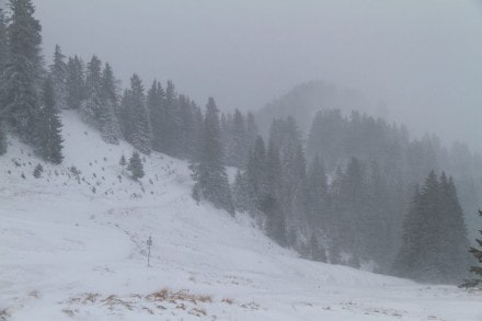 Oberallgu:  (Gunzesried)