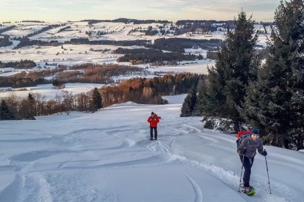 Oberallgäu:  (Nesselwang)