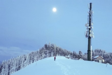 Oberallgäu: Blässe (Nesselwang)