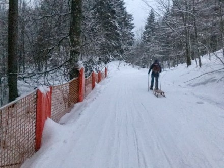 Oberallgäu:  (Immenstadt)