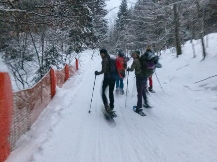 Oberallgäu: Tour (Immenstadt)