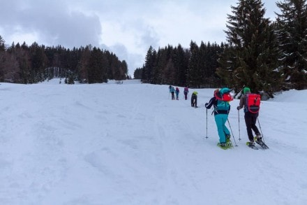 Oberallgäu: Pistentour auf die Grüntenhütte (Rettenberg)