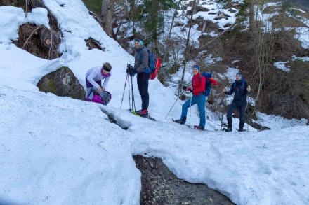 Oberallgu: Pistentour ber die Kappeler Alp auf die Hndleskopfhtte (Nesselwang)