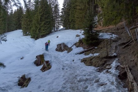 Oberallgäu: Wiesenweg (Nesselwang)