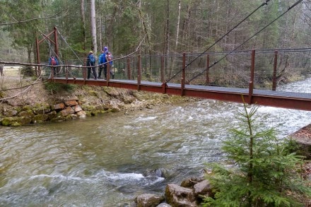 Oberallgäu: Tarzansteg (Oberstaufen)