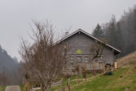 Oberallgäu: Alpe Sonnhald (Oberstaufen)