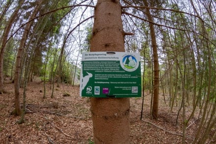 Info: Der Waldpflegevertrag - ganzheitliche Waldbewirtschaftung. Kontinuierliche Waldpflege, schonende Holzernte und gleichzeitige Verantwortung für das Ökosystem kennzeichnet die Bewirtschaftung dieses Waldes.
