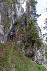 Oberallgäu: Vom Milchhäusle auf die Kienberg Schulter (Pfronten)