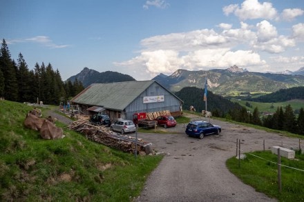 Oberallgäu: Buchelalpe (1.290m) (Oberjoch)