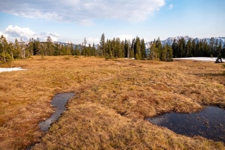 Oberallgäu: Roßkopf (Oberjoch)