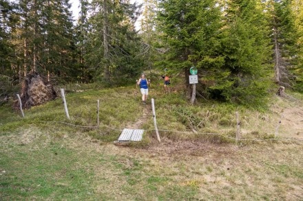 Oberallgäu: Wald-Wild-Schongebiet (Oberjoch)