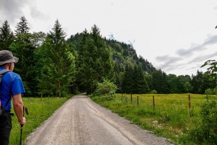 Bergtour zum Schnleitschrofen, Spitzigschrfle und Latschenschrofen