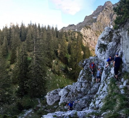 Ammergauer Berge: Spitzigschrfle (Schwangau)