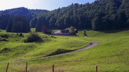Oberallgäu: Sennalpe Derb (Gunzesried)