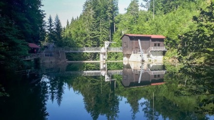 Oberallgäu: Stausee (Gunzesried)