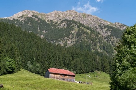 Oberallgäu: Untere Richter Alpe (Obersdorf)